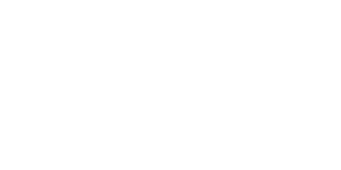 Dyconex
